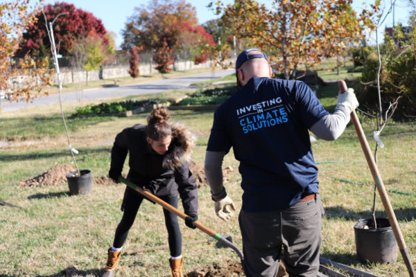 Photo of people plantingtrees in Baltimore